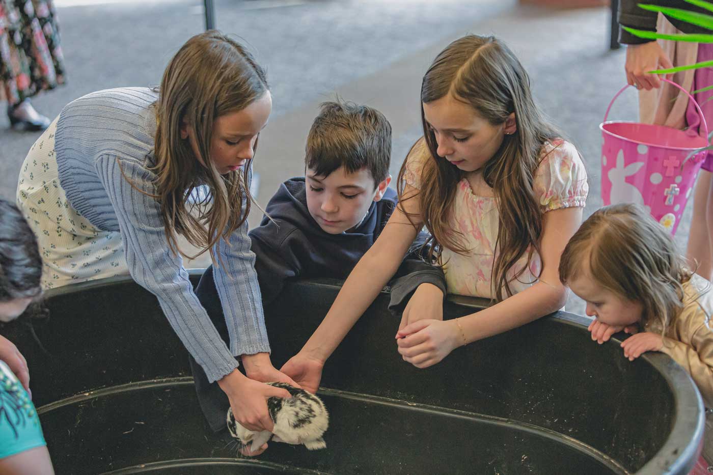 Easter family ministry Generations